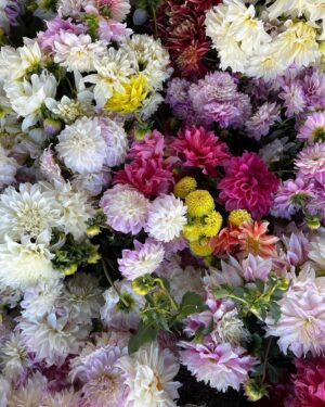 Kelsey Crane Instagram - Shop Farmers’ Markets 🪻🌼🌸 Support our Farmers 🌱 #EatOrganic #EatLocal #SupportOurFarmers & #Farmworkers
