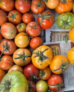 Kelsey Crane Instagram - Rolling into the week feeling farmers’ market fresh #shoplocal #shoporganic #supportfarmers