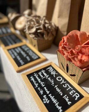 Kelsey Crane Instagram - Rolling into the week feeling farmers’ market fresh #shoplocal #shoporganic #supportfarmers