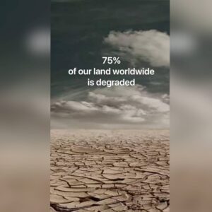 Kelsey Crane Instagram - This is my soil story 🪱 from the @kisstheground soil advocacy program 🌱 My goal in sharing is to amplify this: “Save our soil in hopes the soil might just save us.”⁣
⁣
Please listen to all slides as they are connected 🧬 It would mean a lot to hear your thoughts 👂 Together we can do anything… even save the 🌎 ⁣
⁣
#KissTheGround #soilhealth #regenerativeagriculture #regernerativefarming #growyourownfood #biodynamic #biodynamic #microbiome