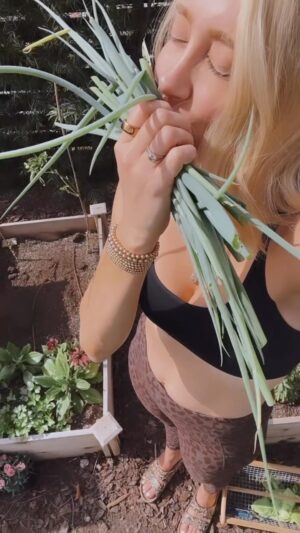 Kelsey Crane Instagram - Another garden experiment in growing FREE FOOD from organic store brought GREEN ONIONS🧪🌱 So easy!⁣
⁣
🧅 buy organic green onions⁣
🧅 chop the onions about 2” from the root⁣
🧅 wrap a rubber band around the bundle⁣
🧅 place the onion bundle in a bit of water⁣
🧅 let the roots grow in the water for 6-8 days⁣
🧅 plant the individual bulbs in organic soil⁣
🧅 water deeply⁣
⁣
… or just keep the bulbs in water and harvest REPEATEDLY from your window sill! Free food y’all. FREE. Try it and share your tips! We are in this together #getdirtywithme⁣
⁣
#victorygarden #growyourownfood #greenonion #freefood #growfood #urbangarden #urbangardening #regenerativegardening #organicgarden