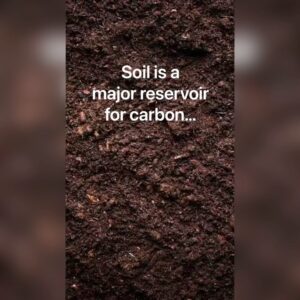Kelsey Crane Instagram - This is my soil story 🪱 from the @kisstheground soil advocacy program 🌱 My goal in sharing is to amplify this: “Save our soil in hopes the soil might just save us.”⁣
⁣
Please listen to all slides as they are connected 🧬 It would mean a lot to hear your thoughts 👂 Together we can do anything… even save the 🌎 ⁣
⁣
#KissTheGround #soilhealth #regenerativeagriculture #regernerativefarming #growyourownfood #biodynamic #biodynamic #microbiome