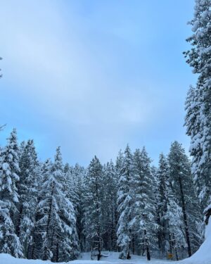 Kelsey Lewin Instagram - Leavenworth weekend part 1 ❄️