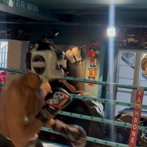 Kenny Ojuederie Instagram - 2 WEEKS TO GO. LET THE HANDS GO SEASON 😤💨

Tickets for the @kingpynboxing tournament is now on sale. Link in my bio