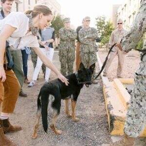 Kerry Bishé Instagram - Arts in the Armed Forces, Camp Lemonnier, Djibouti 2019. 📸: @jemerling #aitaf