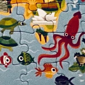 Kerry Bishé Instagram - inside. but thinking of the whole world. and all its giant squids. stay safe. stay curious.
