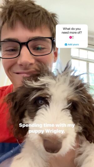 Kevin G. Quinn Instagram - Say hi to Wrigs and let me know something you need more of in your life!

#MoreOfYou #Puppy #puppylife