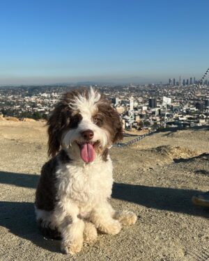 Kevin G. Quinn Instagram - We love a good afternoon hike.