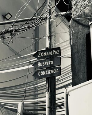 Kevin Johansen Instagram - San Agustín, Caracas. Gracias por el paseo @josedelgadoson @anadiazproductora @marivisague y Reynaldo y @giorodrigueztor
