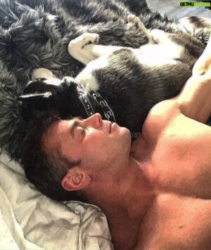 Kevin Kiley Jr. Instagram - Pup-pillow