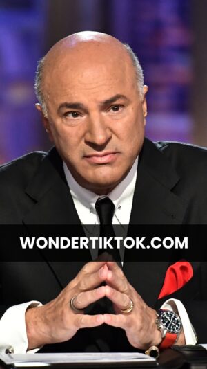 Kevin O'Leary Instagram - The clock is ticking on TikTok🕒. Congress has passed a law that gives it less than 270 days to sell to interests that are governed by US laws or be shut down. 

I'd like to democratize TikTok and turn it into a platform where the user data is protected from the prying eyes of foreign adversaries.

It's time to make TikTok WONDERFUL☀️ again.

Want to be part of this?
👉Go to wondertiktok.com

#TikTokUSA #Crowdfunding #InvestInTheFuture #SmallBusiness

No money or other consideration is being solicited, and if sent in response, will not be accepted; no offer to buy the securities can be accepted and no part of the purchase price can be received until the offering statement is qualified, and any such offer may be withdrawn or revoked, without obligation or commitment of any kind, at any time before notice of its acceptance given after the qualification date; a person’s indication of interest involves no obligation or commitment of any kind.