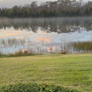 Kevin Sorbo Instagram - Beautiful Florida morning