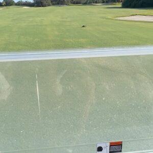 Kevin Sorbo Instagram - Little turtle on the golf course. Go to sorbostudios.com.