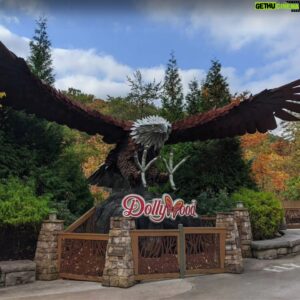 Kevin Stones Instagram - Wild Eagle 2012