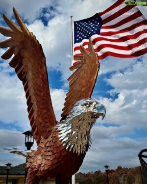 Kevin Stones Instagram - It was a huge opportunity for Michelle and I to honor Challenger with a sculpture that will last for future generations to learn about him. 
Happy Birthday Challenger !!
@aefeagles