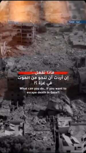 Khaled Abol Naga Instagram - 