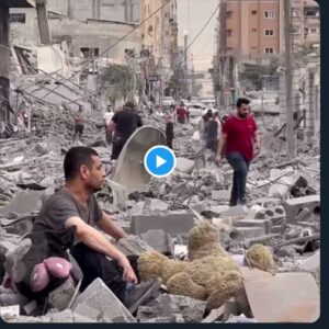 Khaled Abol Naga Instagram - DONATE FOR PALESTINIANS IN GAZA NOW 🙏♥️
