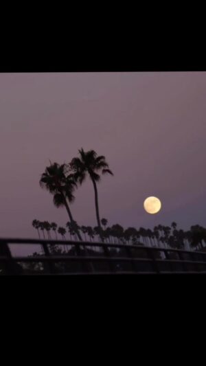 Khaled Abol Naga Instagram - Super moon came 
Super moon gone
Lessons Learned.. One!
