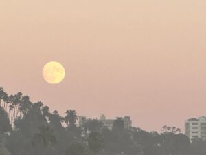 Khaled Abol Naga Instagram - Super Moon Rise in LA