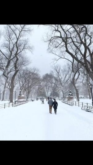 Khaled Abol Naga Instagram - I miss the winter now!
