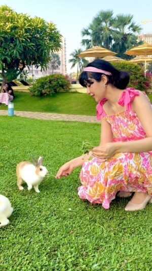 KhanZaadi Instagram - Even in darkness, flowers find a way to bloom.”🌸🍃 

#rabbit #flower #nature #peace #harmony #khanzaadi #northeast #assam #mumbai