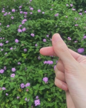 Khunnapat Pichetworawut Instagram - 🌼🌸🌼🫶🏻