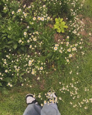 Khunnapat Pichetworawut Instagram - 🌼🌸🌼🫶🏻