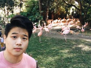 Ki Hong Lee Instagram - Just chillin’ with all the Flaminhos #themazerunner #flamingo