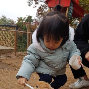 Ki Tae-young Instagram - 우리로희와 가을 나들이 ^^ 우리딸 과 쪼랑말♡ 그리고 알파카
#기태영 #kitaeyoung #lohee #로희 #가을 #나들이 #알파카월드