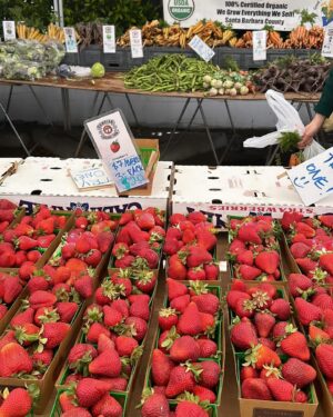 Kiara Barnes Instagram - Late lil Sunday post… but I had a good time being a lil fairy @ the farmers market 2 day 🧚🏽‍♀️🍓🌞🫶🏽✨