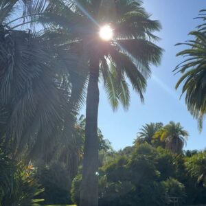 Kiara Barnes Instagram - The sun finally came out to play!🌞🫶🏽 ✨🕊️Happy Days!🤍✨ #ilovecalifornia