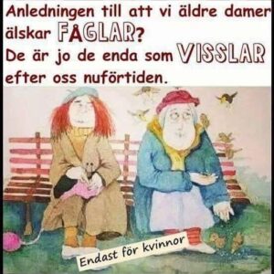 Kikki Danielsson Instagram - Fåglar har Alltid intresserat mig, men nu på senare år, har det intresset ökat, å nu förstår jag Varför😳Med Åldern förlorar man Dragningskraften Alla spontana Visslingar på gatan😩Tungt att inse detta, men Så är Livet!
Och det blir inte Alltid som man vill🧐Men jag är Glad över att fåglarna kommer å sjunger, hundar viftar p svansen å katter kommer fram å gosar❤️Ungdomen med sina Förälskelser är ett Minne blott, men jag minns den tiden med Glädje😄Nu är det Anpassning  ett Sunt Förnuft s Gäller!! Ingen kan vara Evigt Ung, trots att Många försöker!