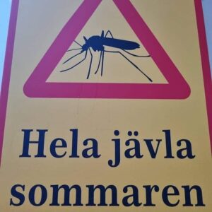Kikki Danielsson Instagram - Hörde p Nyheterna ikväll, att Idag är det Vårdagsjämning😳Skojar dom??
I Bollnäs är d Full Vinter, snöade igår, Livsfarliga isiga gångvägar🥵 Men det är ju inte MKT som är som det varit!!
Bilden på myggan här har jag satt fast på mitt kylskåp, f att Inte Riskera att åka ner i källaren p gr a Missmod😰 Vi har ju i Alla Fall haft Myggfritt bra länge nu✌️Men Sen, när myggan väl dyker upp, glömmer vi bort hur vi klagade på snö å is! För Då har vi fullt upp med att klaga p myggen å värmen🤣😱