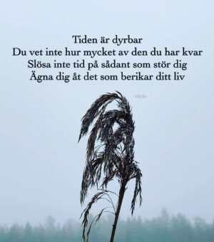 Kikki Danielsson Instagram - Konsert igår i Karlstad som var Storartad på Alla Sätt❤️En Väninna förlorade kampen mot cancer, och jag lovade henne, att sjunga ”Amazing Grace” på hennes begravning, om hon inte överlevde. Begravningen var idag!
Igår före show, kände jag Förtvivlan: Jag skulle inte hinna i detta halkväder, snöblandat regn och Restiden, 4,5 timmar. Dessutom ville Ingen köra på natten!
06:00 imorse, lämnade Sulo , jag chaufför Karlstad mot Bollnäs☃️
Jag hann hem, ta på begravningskläder, kom med sonen sist av Alla t kyrkan. Sjöng min sång, utan sömn el uppsjungning, nästan OK. Var Så Nöjd med att slippa svika min väninna hennes familj🌹En Mkt Vacker begravning för en Vacker Kvinna som Älskade Livet men som inte fick leva det Färdigt🕯
