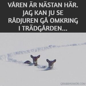 Kikki Danielsson Instagram - I mitt huvud fladdrar det runt en massa tankar om, Hur jag ska hitta Vårtecken😳🌷Inte så lätt med tanke på, hur Mkt snö som  ligger kvar som ett Omöjligt Klister🥵Men Idag såg jag Faktiskt ett Tecken: vägen fr min grind t min bil var tinad på Många ställen🥳🎉✌️Men nästa snöstorm kan ju uppenbara sig när som helst👹