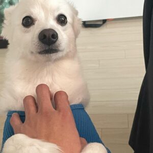 Kim Do-wan Instagram - 요즘