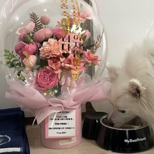 Kim Do-wan Instagram - 생일을 축하해주셔서 감사합니다 :)