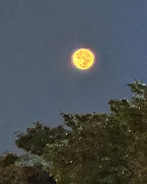 Kim Dong-han Instagram - 대구까지 10시간 걸려서 간 썰 풉미다