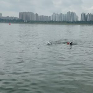 Kim Dong-hyun Instagram - 철인 3종 비공식 첫 완주!😃🔥🫡 평생 운동하면서 제일 뿌듯한 날😁😁행복하다🔥💪 #triathlon D-15
#swimming 1.5km 48:16
#cycling 40km 1:23:59
#running 10km 47:45
@minhoheotri 허코치 고마워🙏 
#gorewear @gorewear_korea_distributor @smith_sinsa