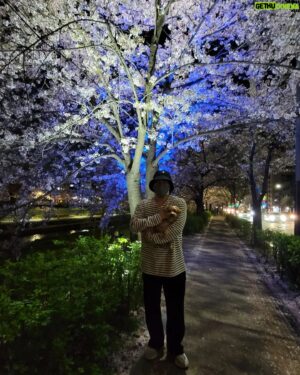 Kim Hae-jun Instagram - .
이제야 골라냈지.

#보리 #벚꽃