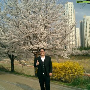Kim Hae-jun Instagram - 봄,벚꽃 그리고 아련

#벚꽃