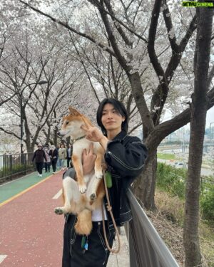 Kim Hyeon-jae Instagram - 