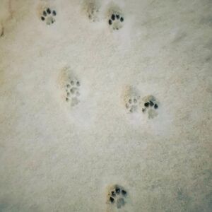 Kim Jae-wook Instagram - 🐈‍⬛ 🌨