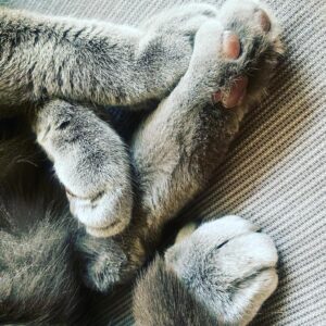 Kim Jae-wook Instagram - 말랑쫀득