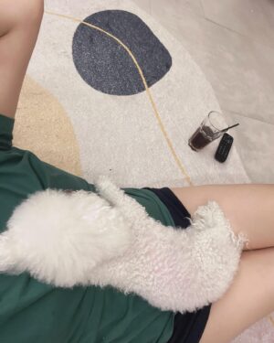 Kim Joo-hee Instagram - 비오는 날 주말 #치즈감자전 과 #스탠바이미 🐶🐾

음악듣고 요리 만들어 먹고 
골프 유튜브 보고 영화도 보고 
뒹굴뒹굴 온전한 쉼의 하루 

최근에 #패신저스 영화를 보고 
제니퍼 로렌스란 여배우의 매력에 흠뻑 빠져
간간히 필모를 달리고 있었는데 다양한 장르 선택이 굉장하다 👍🏻 
(안전함만을 취하지않고 스스로에 대한 믿음과 자신감이 엿보인달까,,) 
#레드스패로 도 강렬했고  마더로 연기상 후보,
실버라이닝 플레이북 으로 골든 글로브, 아카데미 여우주연상 
최근 영화인 노하드 필링스는 어떤 이유로 선택했을까 살짝 의문이지만 😂 이유가 있겠죠,,? 그녀니까 끝까지 봄 🤭 
소피 마르소의 지적인 느낌에 운동으로 다져진듯한 유럽형 피지컬
예뻐보이기만 하는 캐릭터는 지향하지 않는 듯한 다양한 캐릭터 변신
굉장한 몰입력을 가진 연기력. 크 너무 멋짐- 

가디언즈 오브 갤럭시의 히어로 크리스 프랫💜과 투 탑인
패신저스는 한정된 공간에 두 주인공의 연기만으로 하드캐리하는 
넘 매력적인 뉴욕 작가 캐릭터인데 못보신 분들 강추해요 
나도 오로라와 같은 선택을 했을거 같음 ^^ #passengers 👌🏻 

주말 아침 서프라이즈 선물
여기 저기 끌고 다니면서 거실, 주방, 안방을 넘나들고있는 신묘템 
오디오 사운드도 훌륭하고 편의성도 좋네요 😮 
thank you @lg_stanbyme 🎁🎂🥳