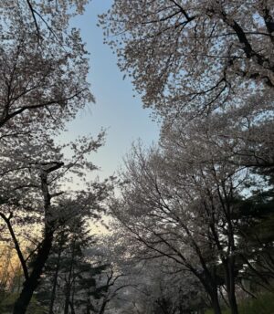 Kim Kang-min Instagram - 