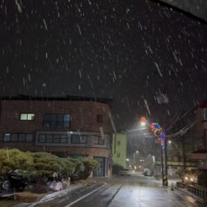 Kim Min-jung Instagram - .
눈 떠보니 온 세상 하얗게 눈 내렸던 수안보 여행
그래서 더더더 좋았네용~❄☃️ #Lucky
눈 내린 아침 노천탕 물놀이 2차전 돌입♨️
고로쇠물도 야무지게 챙겨가서 마시며 온천욕 즐겼어요ㅎ

아인인 뜨끈뜨끈 방에서 아침밥 먹으며 
물 받는 소리 듣고 신났어요. 얼른 밥 먹고
물에 들어가서 설거지 2차전ㅋㅋㅋㅋㅋ
요즘 자기가 먹은 그릇 제게 가져다 주면서
“엄마 설거지 해주세요~” 하거든요
이제 곧 스스로 셀프 설거지할 듯ㅎㅎ
물나오는 싱크대 장난감 가져가길 넘 잘했지 뭐예요😁

아이랑 함께 할 땐 문 다 닫아놓고 따뜻하게 온천욕하고
아빠는 혼자 상쾌한 눈 내린 아침 공기 마시면 노천 반신욕
아직 21개월 아기니 가족탕이 여러모로 편하고 저희도 좋았어요👍🏻
아직 쌀쌀한 날씨! 온천욕 추천합니닷! 히히
(참고: 온천욕하면 남편처럼 눈 내리는 날 반바지로 다닐만큼 체온 올라가고 혈액순환이 좋아집미다🤣🤣🤣ㅋㅋㅋㅋㅋ)
.
.
#아기랑여행#21개월아기#딸맘#태교여행#온천#노천탕#가족탕