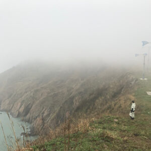 Kim Rae-won Instagram - 섬에 갇혀버렸다. 
배도 못나가고..낚시도 못하고..
섬 반대 바다는 이렇게 잔잔한데..
내려갈수있을까 한참을고민했지만.. 올라올수가없구나....
#주의보발령#태도#🐮