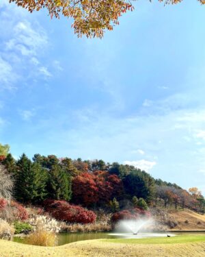 Kim Rae-won Instagram - I love..
낙엽 내리는..
지산🍂🍁