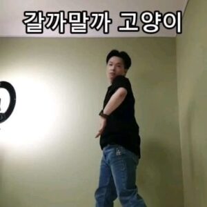 Kim Ryang -ha Instagram - 【 #량하효과 】 
꽁꽁얼어붙은 한강위로 고양이가 갈까말까?